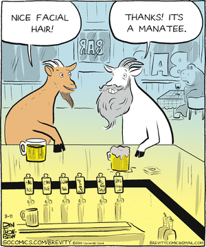 brevity